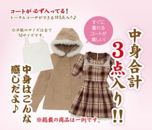 detail141215_korokoro