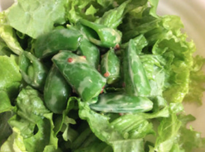 スクリーンショット 2015-04-04 20.09.33