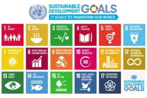 正しく使えてる？！『サステナブル』と『SDGs』の違いは？