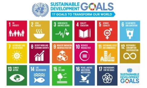 正しく使えてる？！『サステナブル』と『SDGs』の違いは？
