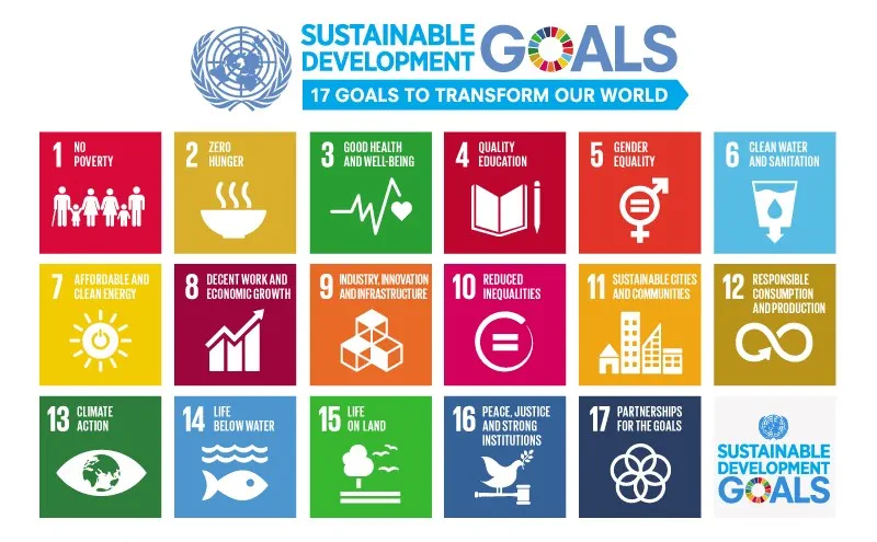 正しく使えてる？！『サステナブル』と『SDGs』の違いは？
