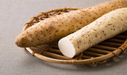 正しく使えてる？！『山芋』と『長芋』の違いは？