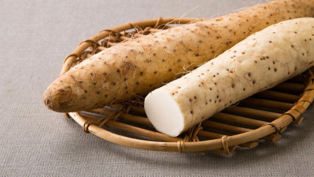 正しく使えてる？！『山芋』と『長芋』の違いは？